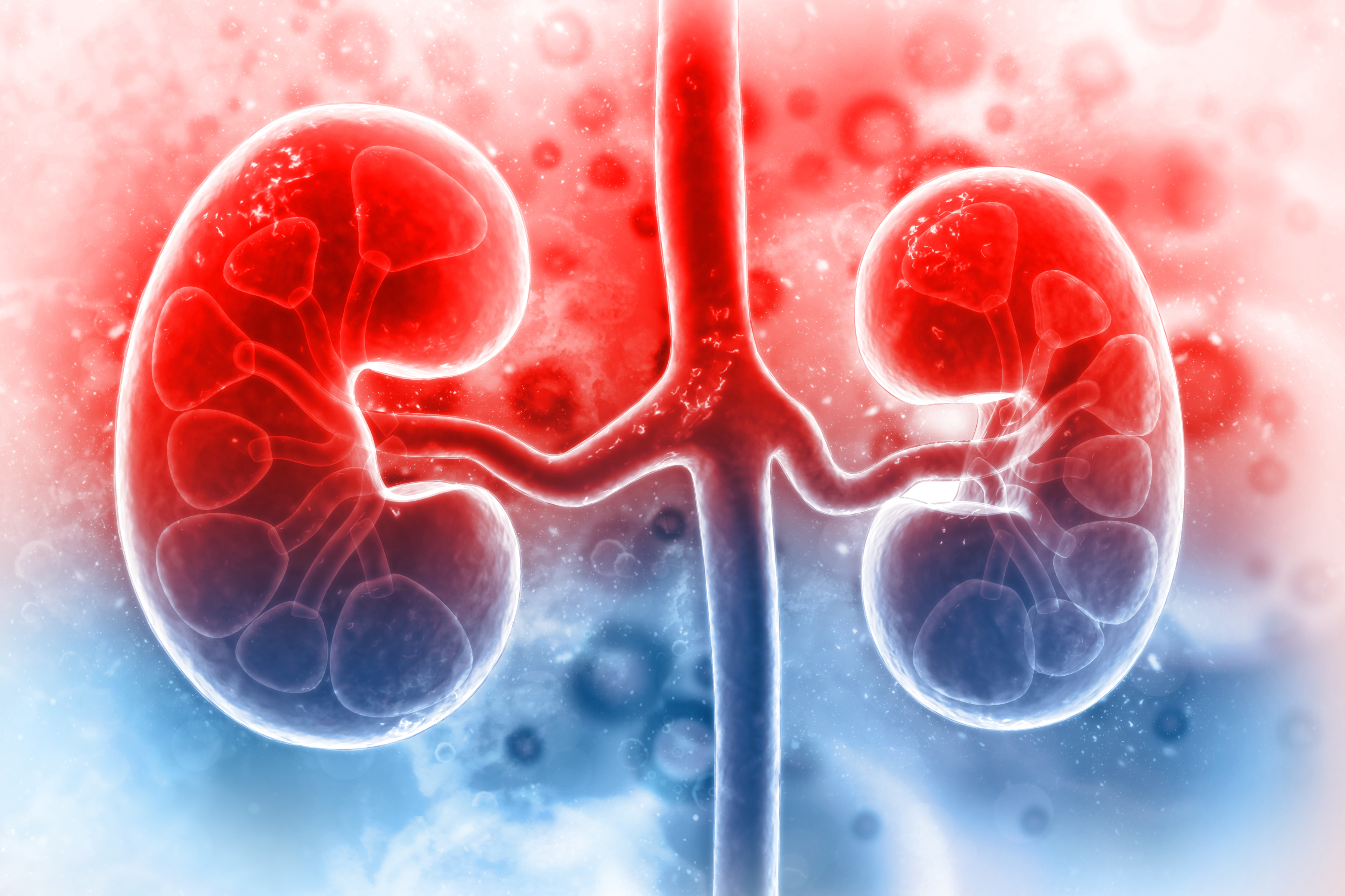 latest research kidney disease