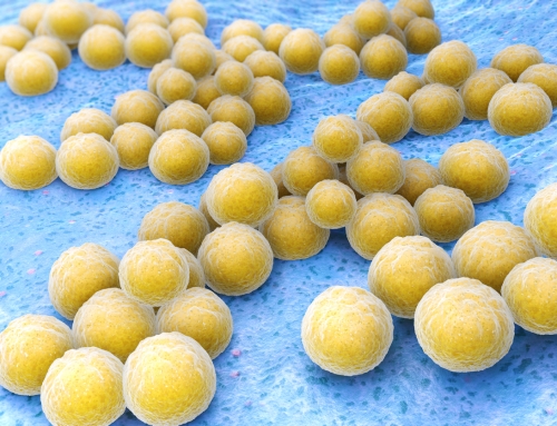 Staph Infections in Hemodialysis Patients