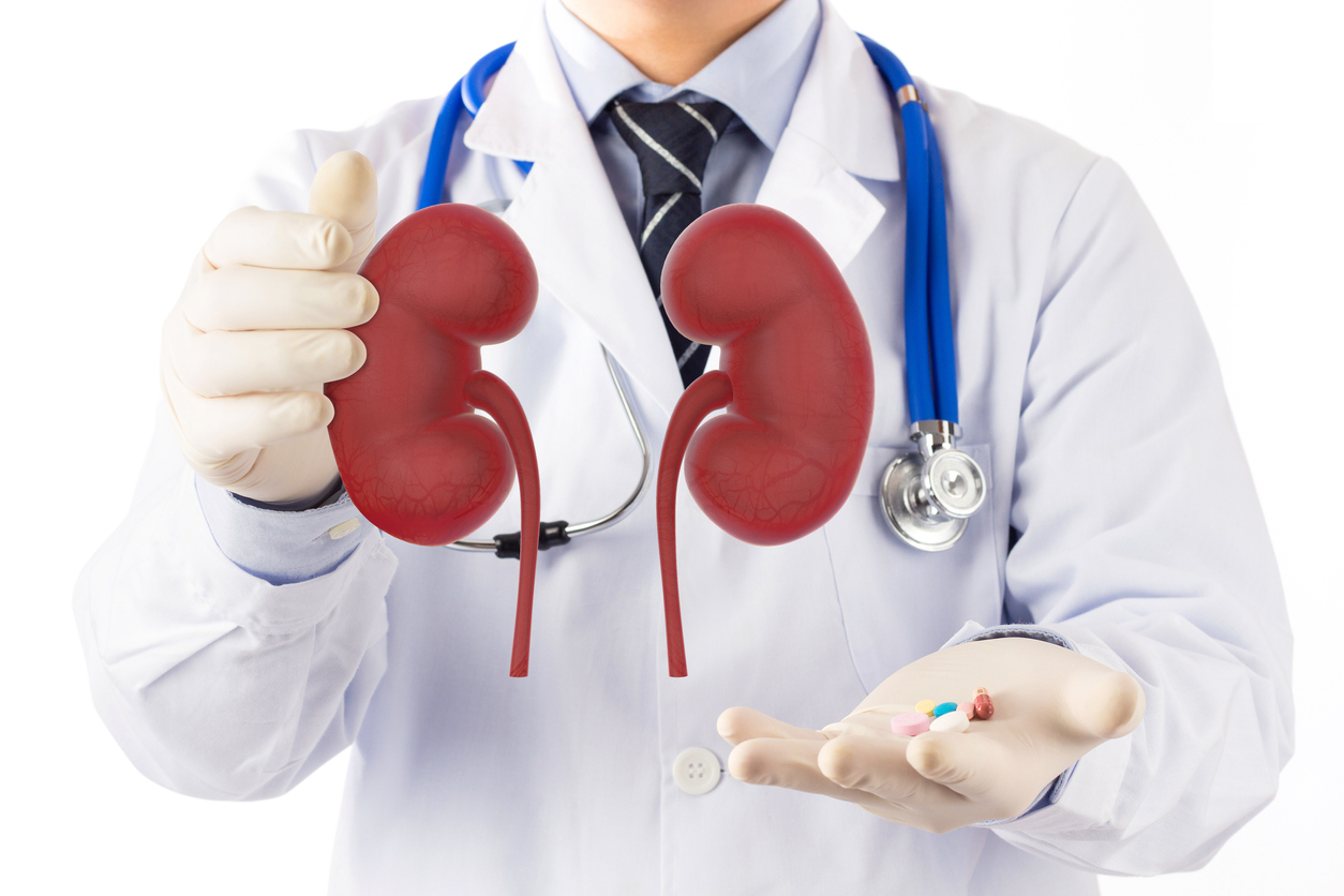Doctor pointing upwards to a drawn kidney image in his right hand, with left hand palm facing up."