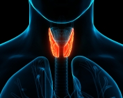 thyroid gland, parathyroid glands, hyperparathyroidism