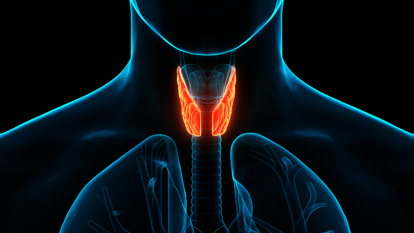 thyroid gland, parathyroid glands, hyperparathyroidism